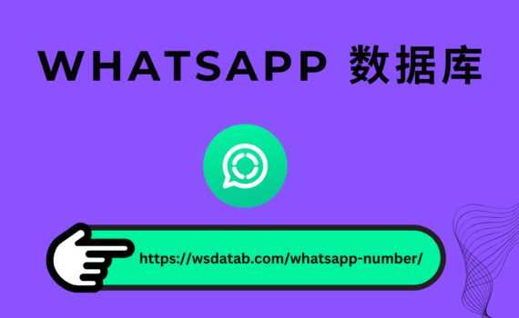 WhatsApp 号码