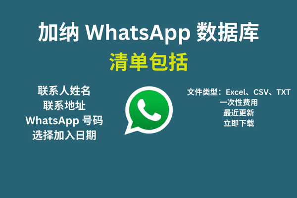 加纳 WhatsApp 数据库